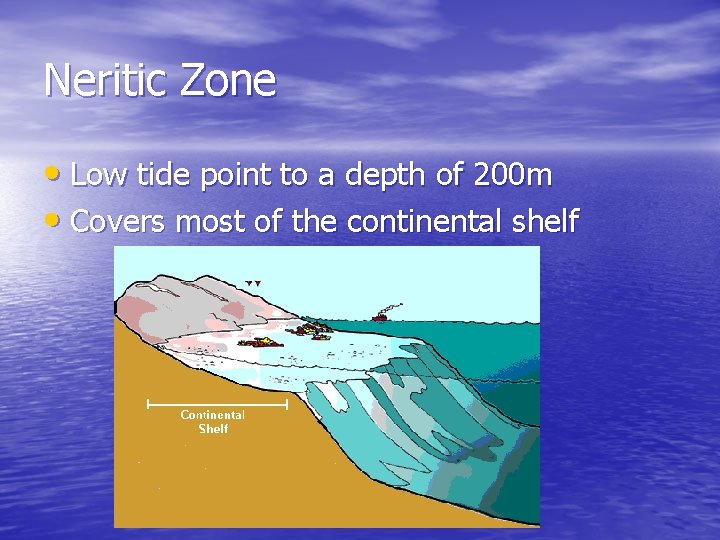 Neritic Zone • Low tide point to a depth of 200 m • Covers