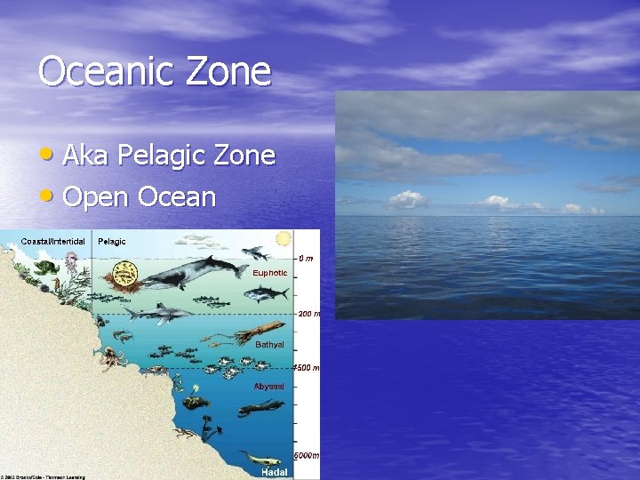 Oceanic Zone • Aka Pelagic Zone • Open Ocean 