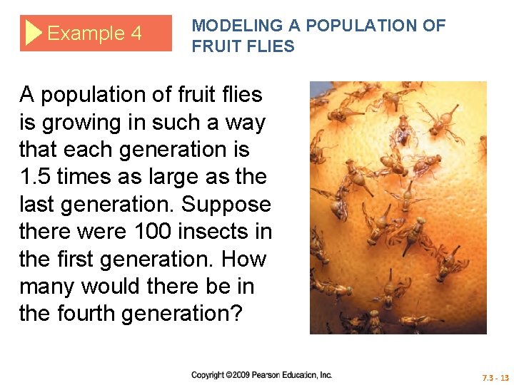 Example 4 MODELING A POPULATION OF FRUIT FLIES A population of fruit flies is