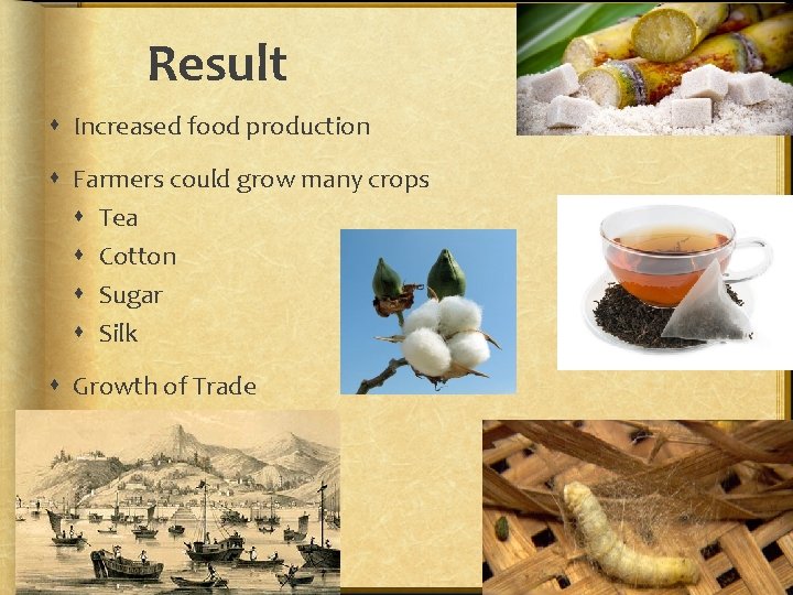 Result Increased food production Farmers could grow many crops Tea Cotton Sugar Silk Growth