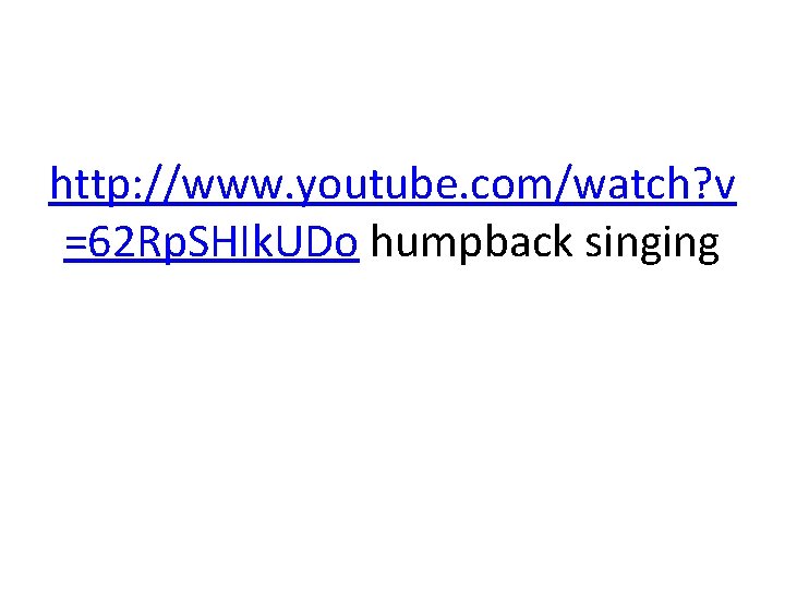 http: //www. youtube. com/watch? v =62 Rp. SHIk. UDo humpback singing 