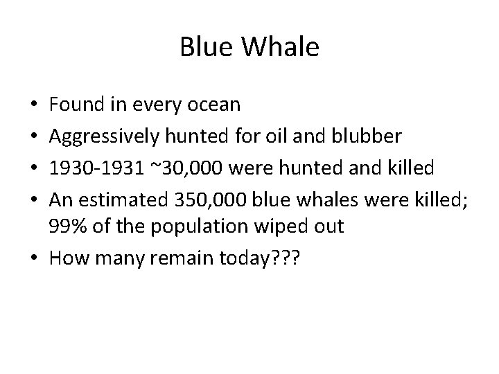 Blue Whale Found in every ocean Aggressively hunted for oil and blubber 1930 -1931