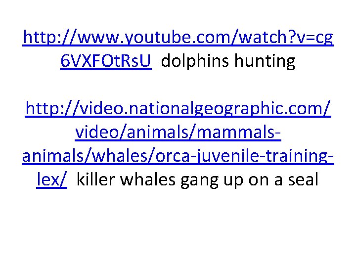 http: //www. youtube. com/watch? v=cg 6 VXFOt. Rs. U dolphins hunting http: //video. nationalgeographic.
