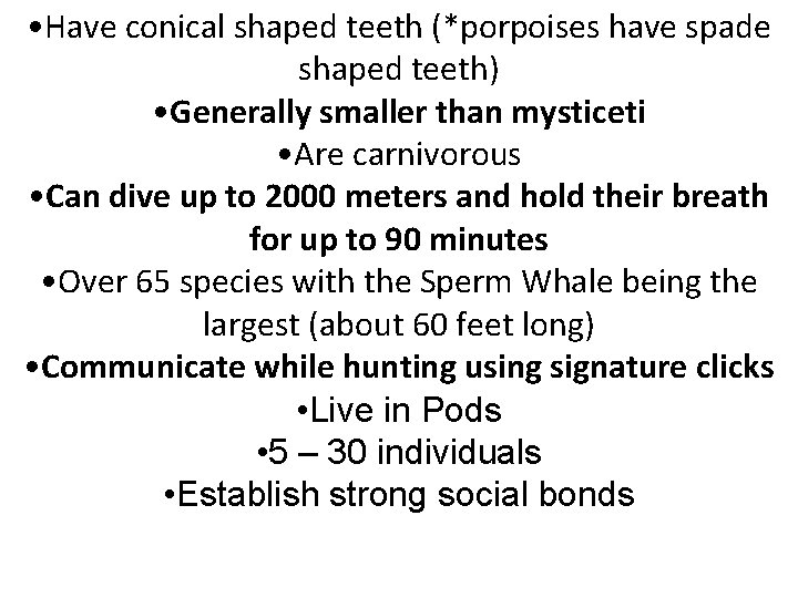  • Have conical shaped teeth (*porpoises have spade shaped teeth) • Generally smaller
