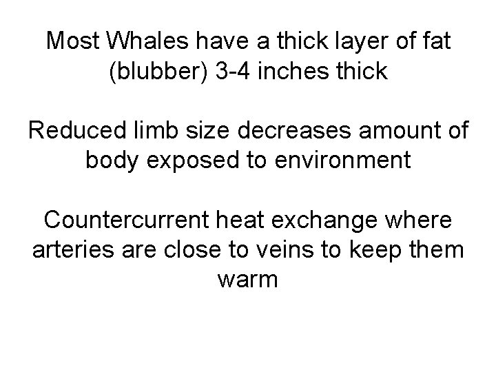 Most Whales have a thick layer of fat (blubber) 3 -4 inches thick Reduced