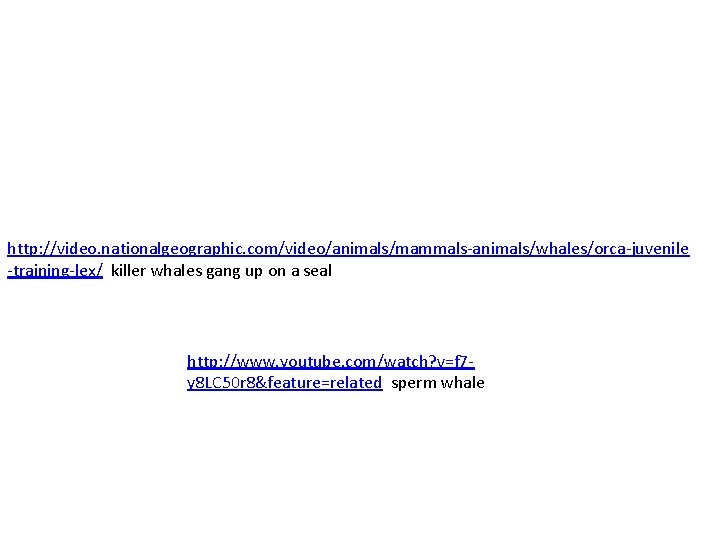 http: //video. nationalgeographic. com/video/animals/mammals-animals/whales/orca-juvenile -training-lex/ killer whales gang up on a seal http: //www.