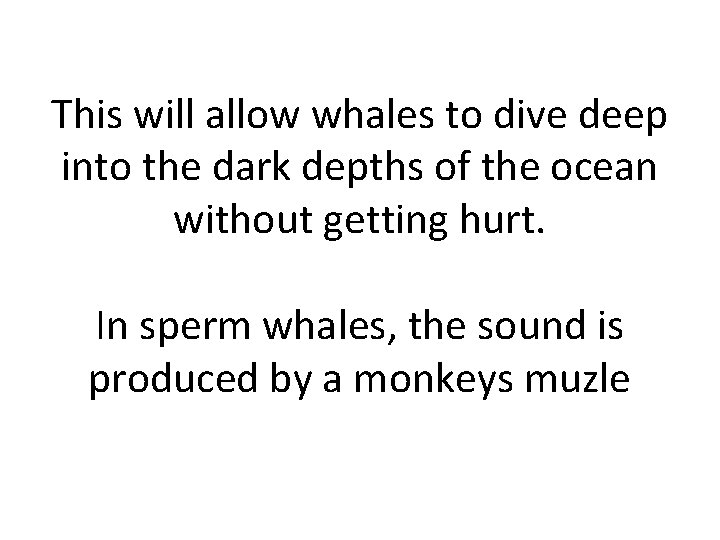 This will allow whales to dive deep into the dark depths of the ocean