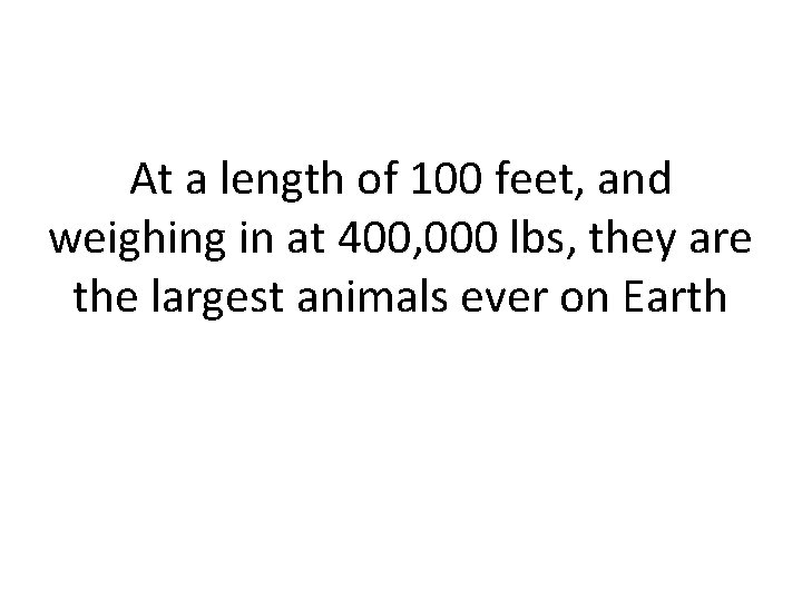 At a length of 100 feet, and weighing in at 400, 000 lbs, they
