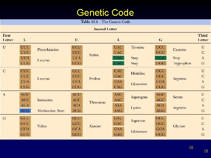 Genetic Code 10 10 