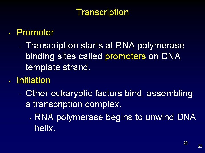 Transcription • • Promoter – Transcription starts at RNA polymerase binding sites called promoters