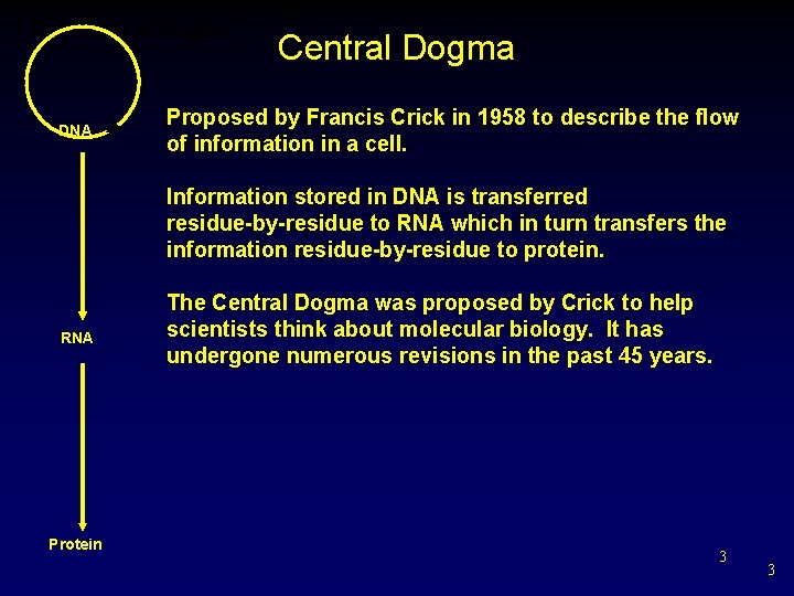The Central Dogma DNA Central Dogma Proposed by Francis Crick in 1958 to describe