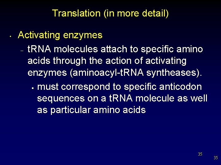Translation (in more detail) • Activating enzymes – t. RNA molecules attach to specific