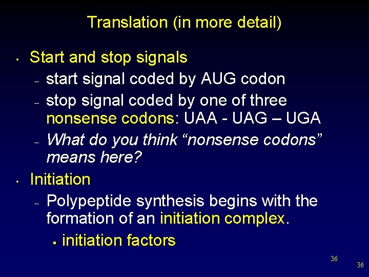 Translation (in more detail) • • Start and stop signals – start signal coded