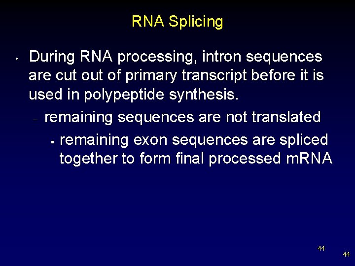 RNA Splicing • During RNA processing, intron sequences are cut of primary transcript before