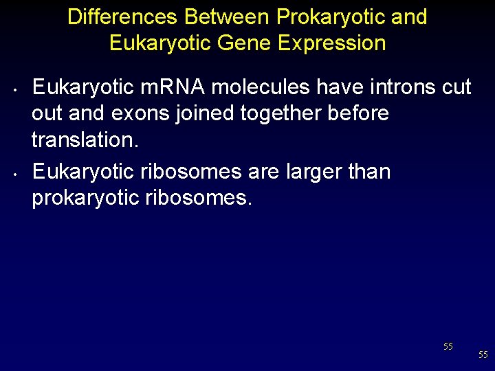 Differences Between Prokaryotic and Eukaryotic Gene Expression • • Eukaryotic m. RNA molecules have