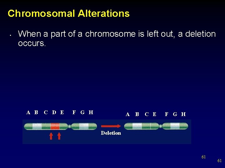 Chromosomal Alterations • When a part of a chromosome is left out, a deletion