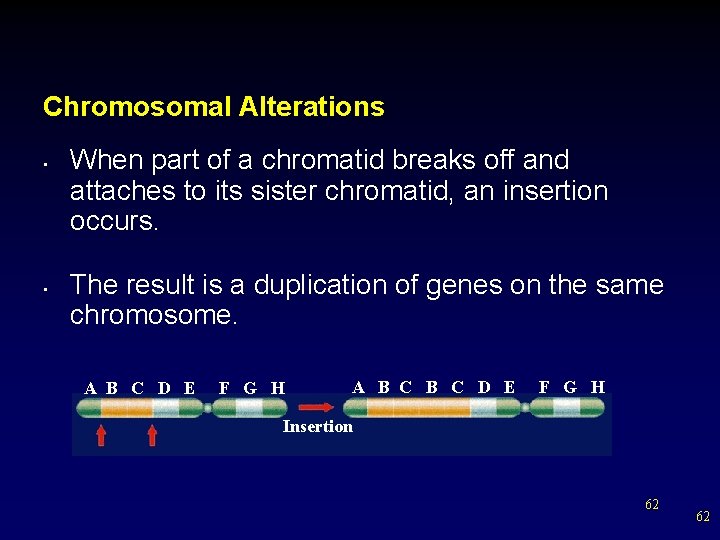 Chromosomal Alterations • • When part of a chromatid breaks off and attaches to