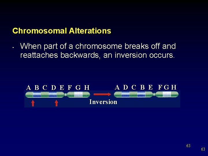 Chromosomal Alterations • When part of a chromosome breaks off and reattaches backwards, an