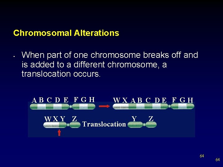 Chromosomal Alterations • When part of one chromosome breaks off and is added to