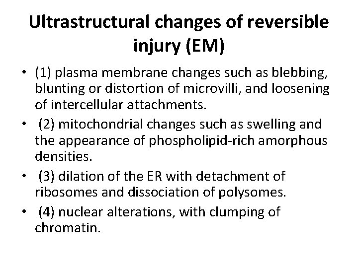 Ultrastructural changes of reversible injury (EM) • (1) plasma membrane changes such as blebbing,