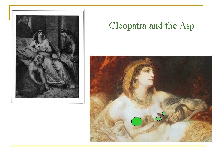 Cleopatra and the Asp 