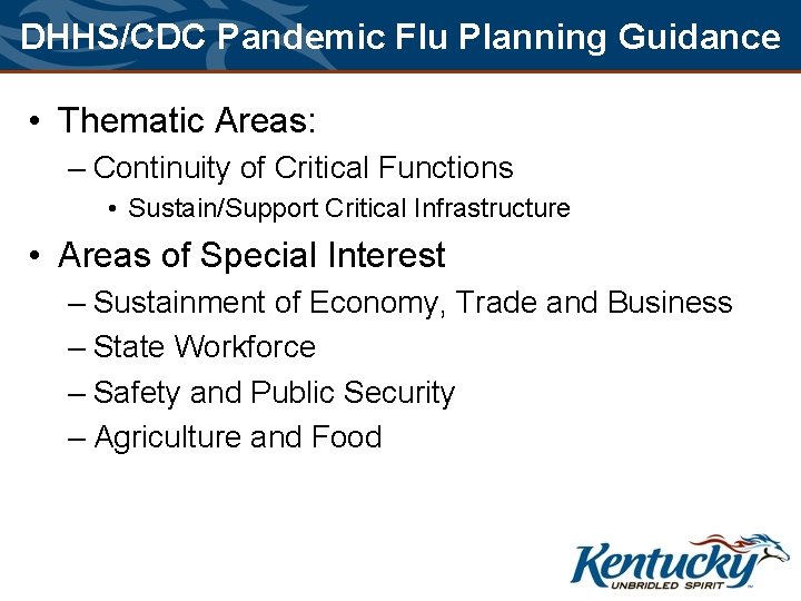 DHHS/CDC Pandemic Flu Planning Guidance • Thematic Areas: – Continuity of Critical Functions •