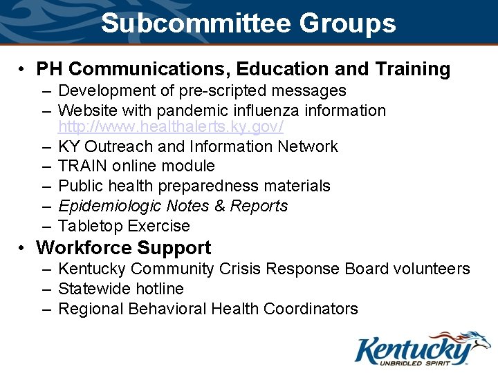 Subcommittee Groups • PH Communications, Education and Training – Development of pre-scripted messages –