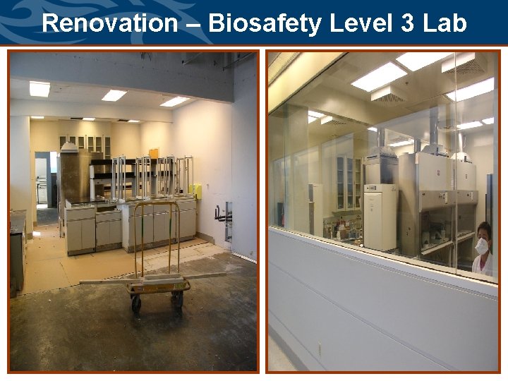 Renovation – Biosafety Level 3 Lab 