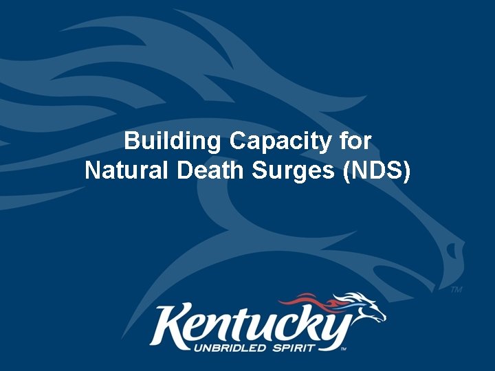 Building Capacity for Natural Death Surges (NDS) 