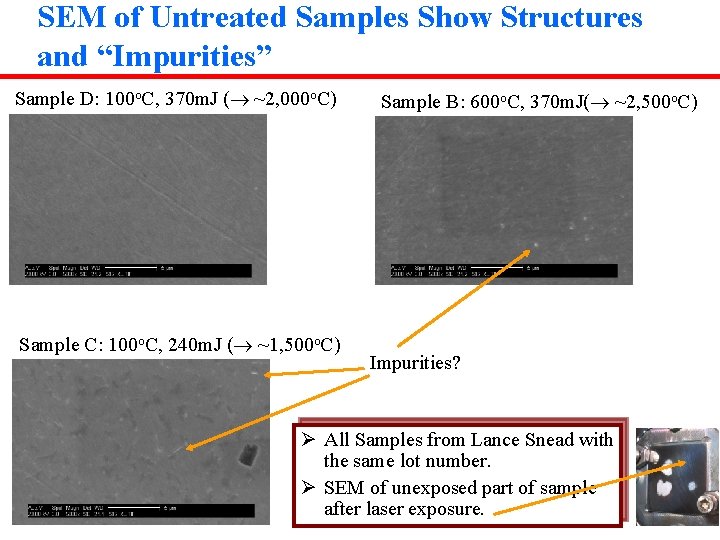 SEM of Untreated Samples Show Structures and “Impurities” Sample D: 100 o. C, 370