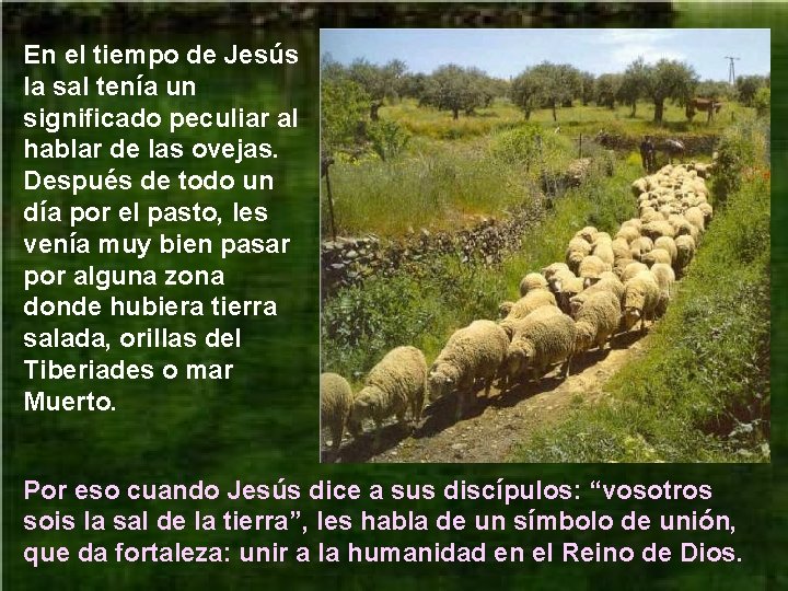 En el tiempo de Jesús la sal tenía un significado peculiar al hablar de En el tiempo de Jesús la sal tenía un significado peculiar al hablar de