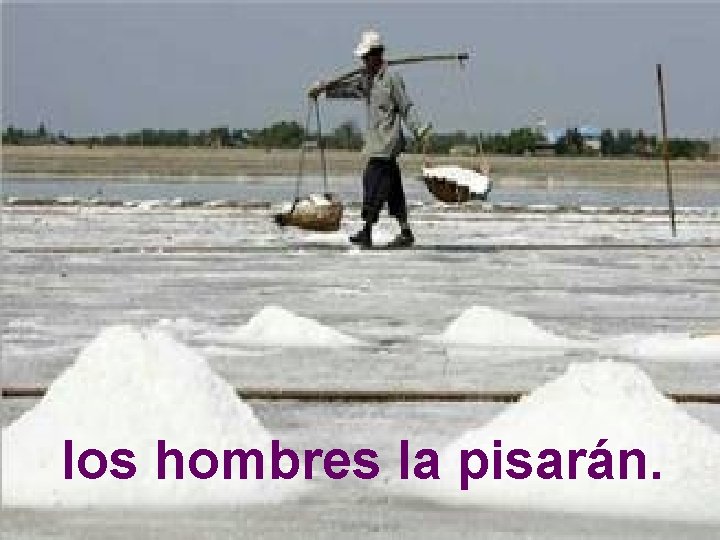 los hombres la pisarán. los hombres la pisarán.