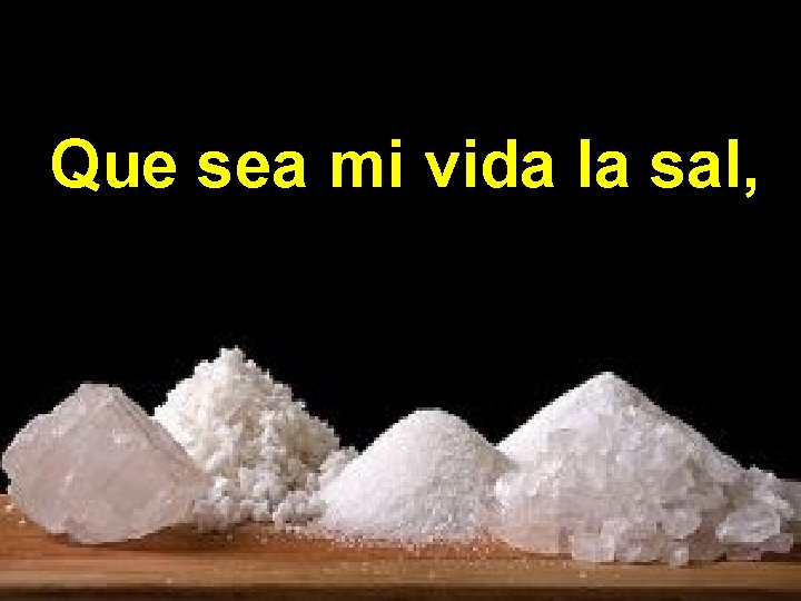 Que sea mi vida la sal, Que sea mi vida la sal,