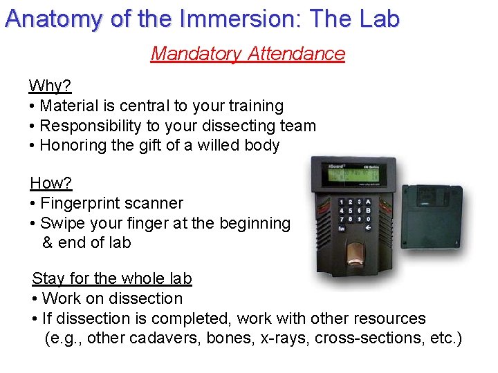 Anatomy of the Immersion: The Lab Mandatory Attendance Why? • Material is central to