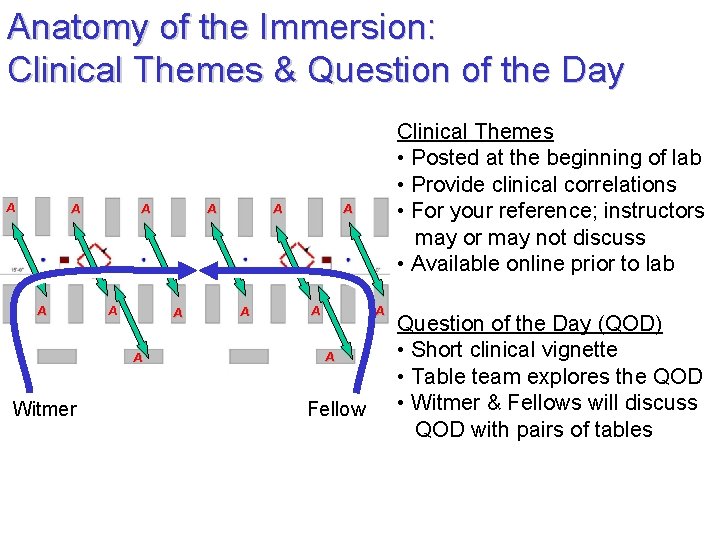 Anatomy of the Immersion: Clinical Themes & Question of the Day A A A