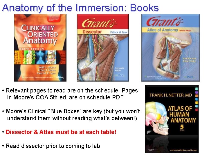 Anatomy of the Immersion: Books • Relevant pages to read are on the schedule.