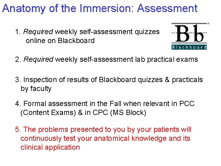 Anatomy of the Immersion: Assessment 1. Required weekly self-assessment quizzes online on Blackboard 2.