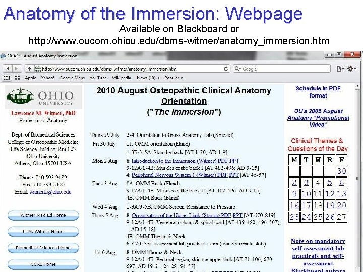 Anatomy of the Immersion: Webpage Available on Blackboard or http: //www. oucom. ohiou. edu/dbms-witmer/anatomy_immersion.