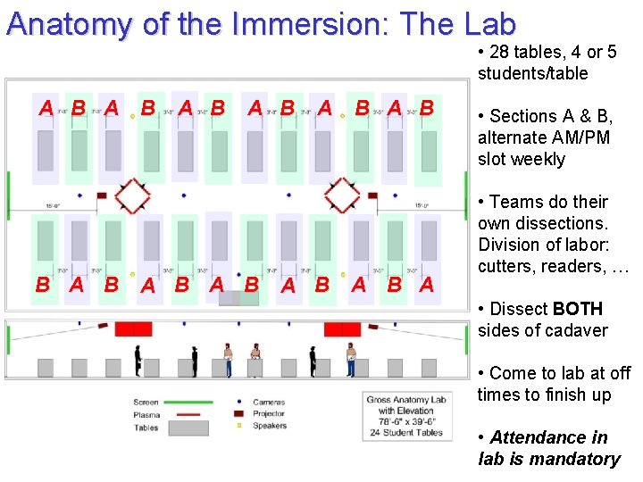 Anatomy of the Immersion: The Lab • 28 tables, 4 or 5 students/table A