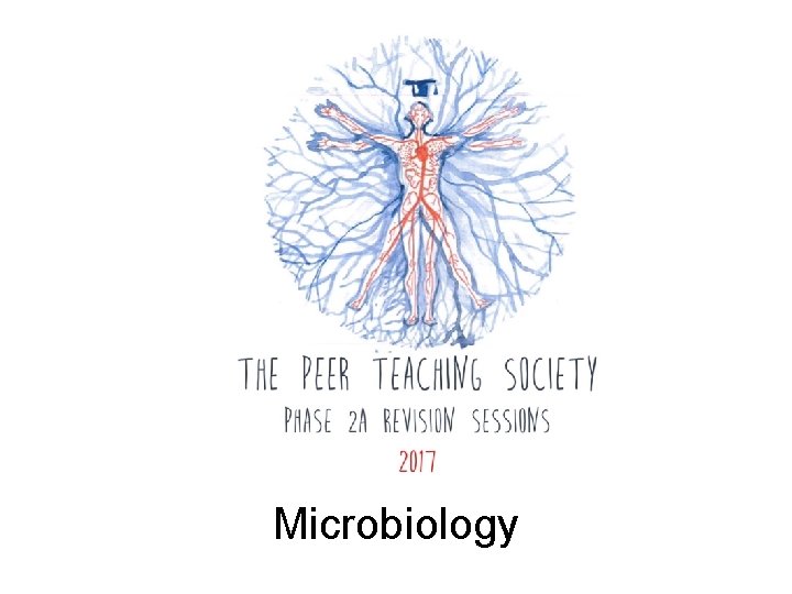 Microbiology 