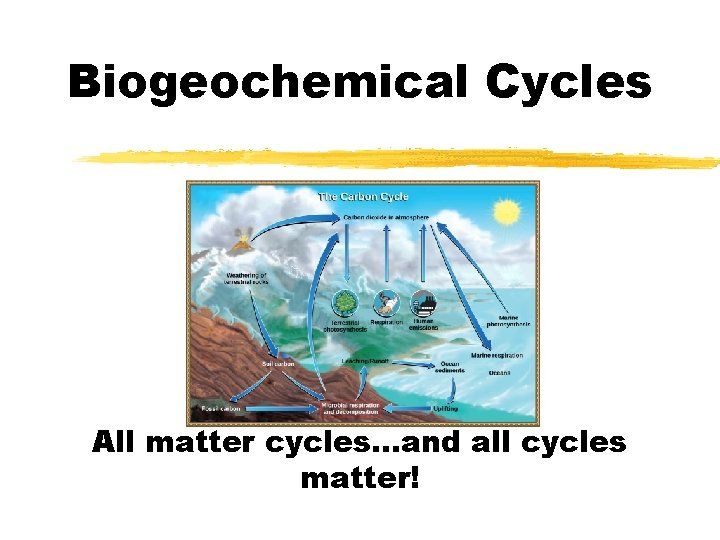 Biogeochemical Cycles All matter cycles…and all cycles matter! 