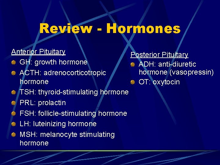 Review - Hormones Anterior Pituitary Posterior Pituitary GH: growth hormone ADH: anti-diuretic hormone (vasopressin)