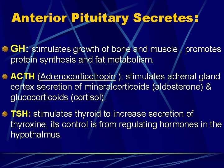 Anterior Pituitary Secretes: GH: stimulates growth of bone and muscle , promotes protein synthesis