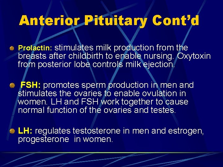 Anterior Pituitary Cont’d Prolactin: stimulates milk production from the breasts after childbirth to enable