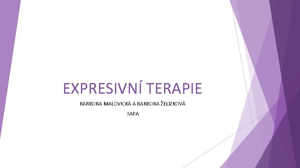 EXPRESIVNÍ TERAPIE BARBORA MALOVICKÁ A BARBORA ŽELÍZKOVÁ 3 APA 