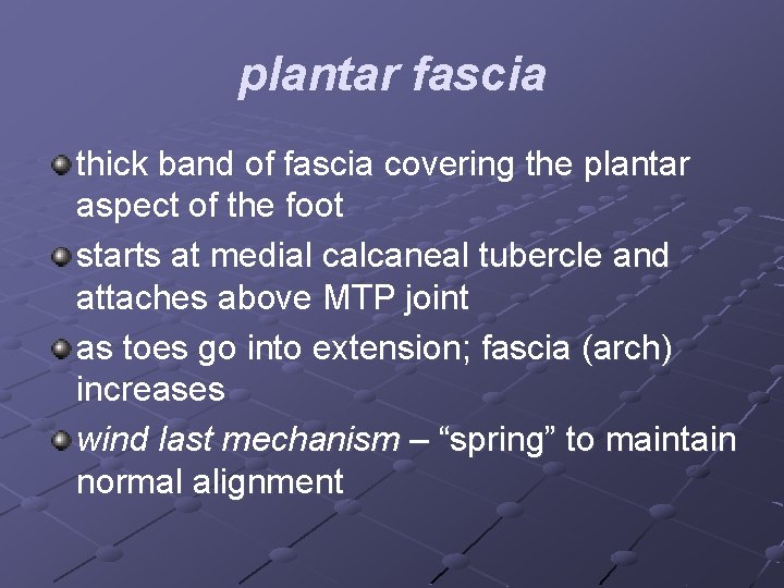 plantar fascia thick band of fascia covering the plantar aspect of the foot starts