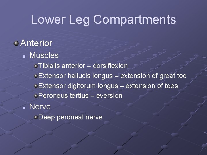 Lower Leg Compartments Anterior n Muscles Tibialis anterior – dorsiflexion Extensor hallucis longus –