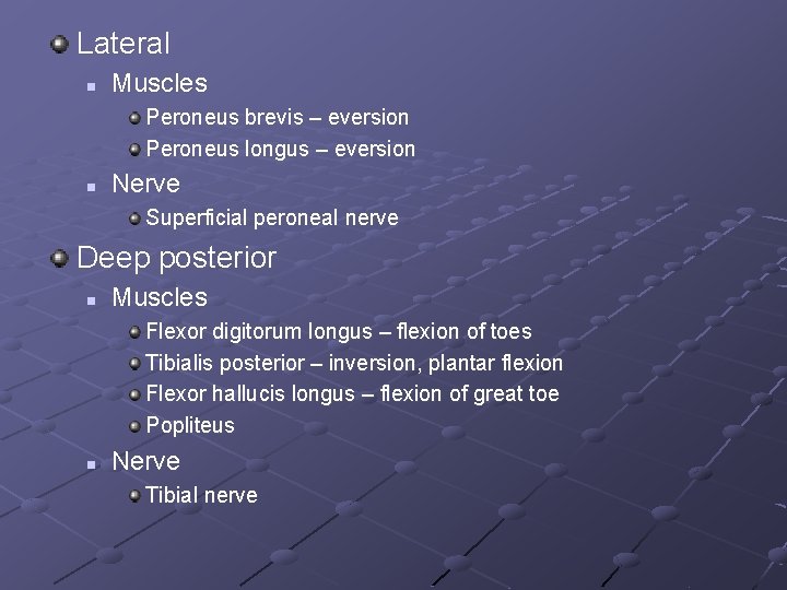 Lateral n Muscles Peroneus brevis – eversion Peroneus longus – eversion n Nerve Superficial