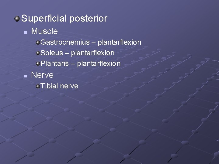 Superficial posterior n Muscle Gastrocnemius – plantarflexion Soleus – plantarflexion Plantaris – plantarflexion n