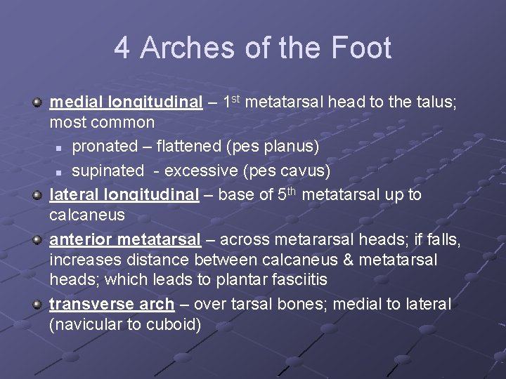 4 Arches of the Foot medial longitudinal – 1 st metatarsal head to the